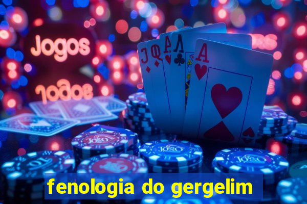 fenologia do gergelim